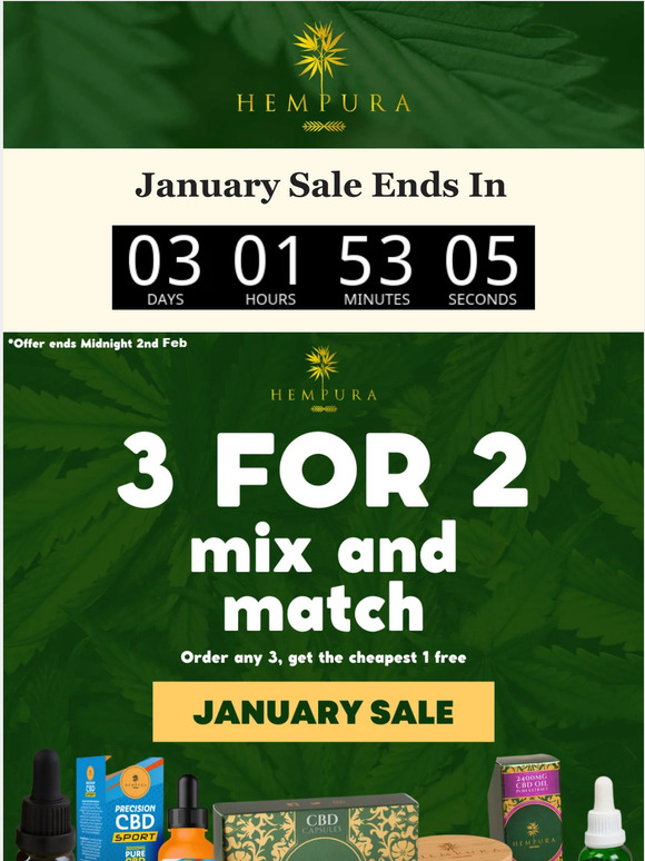 🛎️ January Sale Ends Soon! Act Now!