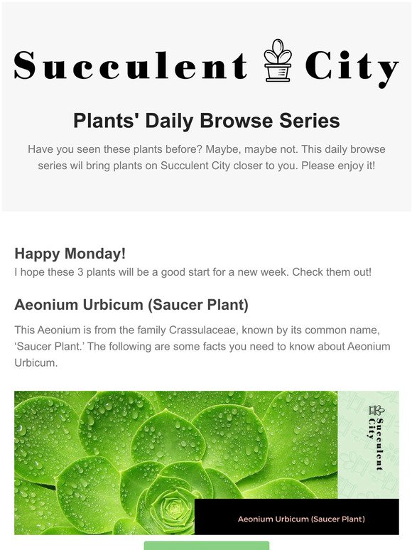 Hello Monday :) 3 plants to kick start your happy week!