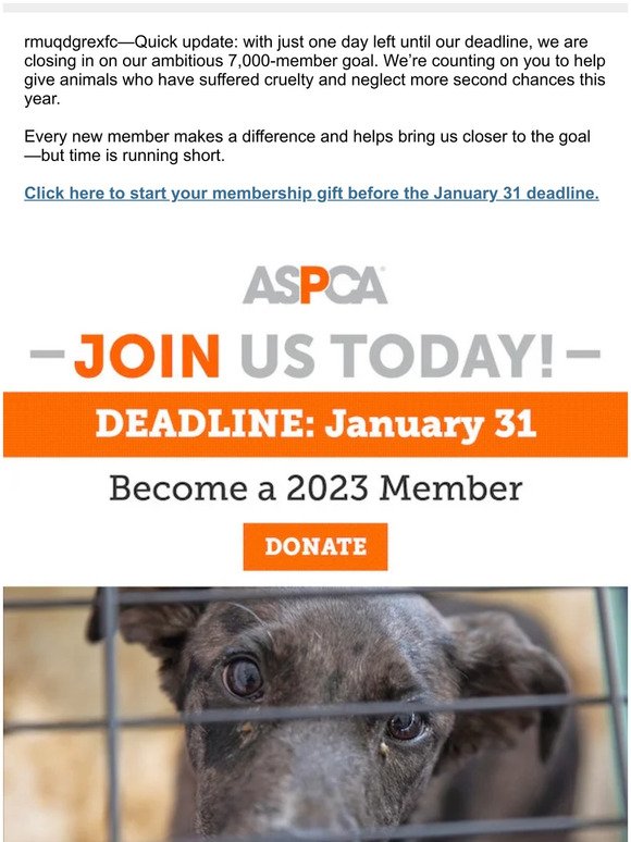 Your 2023 Membership (Act Now)