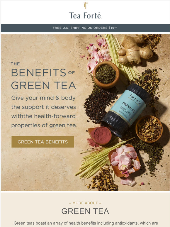 Tea Forté Understanding Green Tea 🍃 Milled