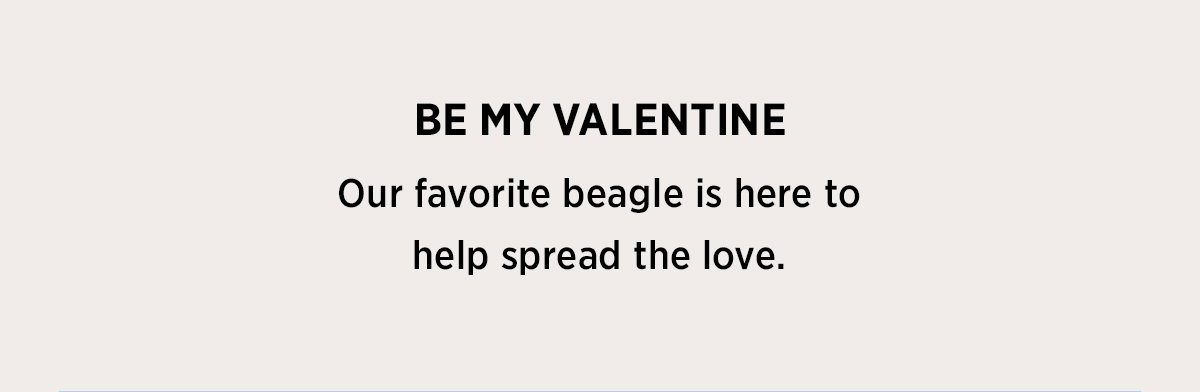 BE MY VALENTINE | Our favorite beagle is here to help spread the love