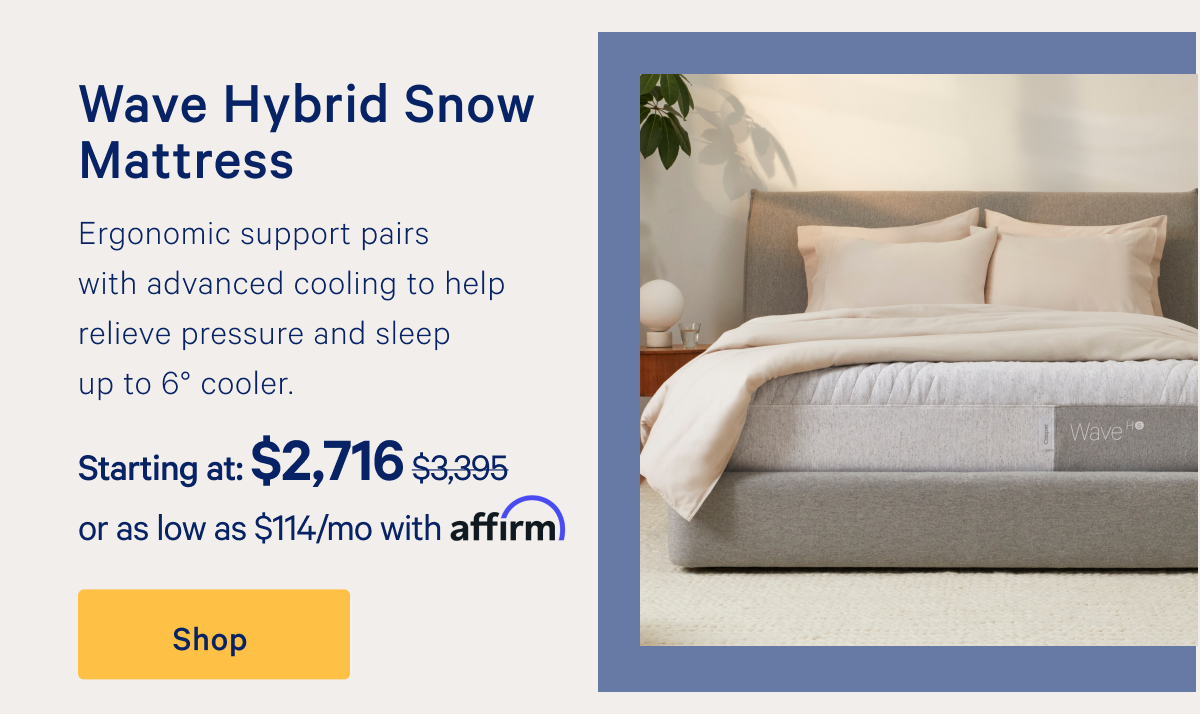 Wave Hybrid Snow