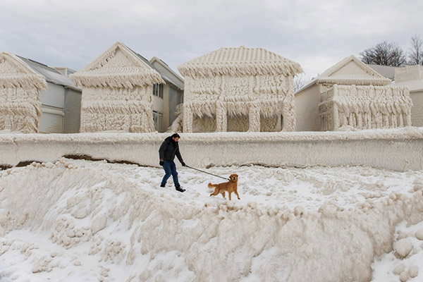 A photo of a man wearing thick dark winter clothing walking his golden retriever along an icy path. The man seems to concentrate on not slipping, his gaze focused in front of him. The dog, pulling ahead of him, is staring curiously at the camera. Behind him are several houses that are so frozen that they look like they are covered in icing, their roofs having grown long icicle beards.