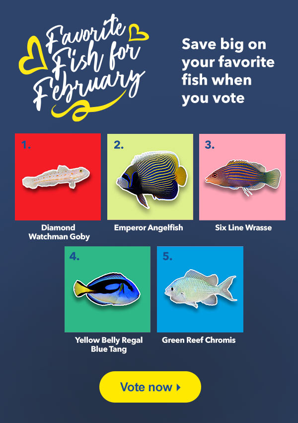 Vote! These fish are on the ballot for Favorite Fish