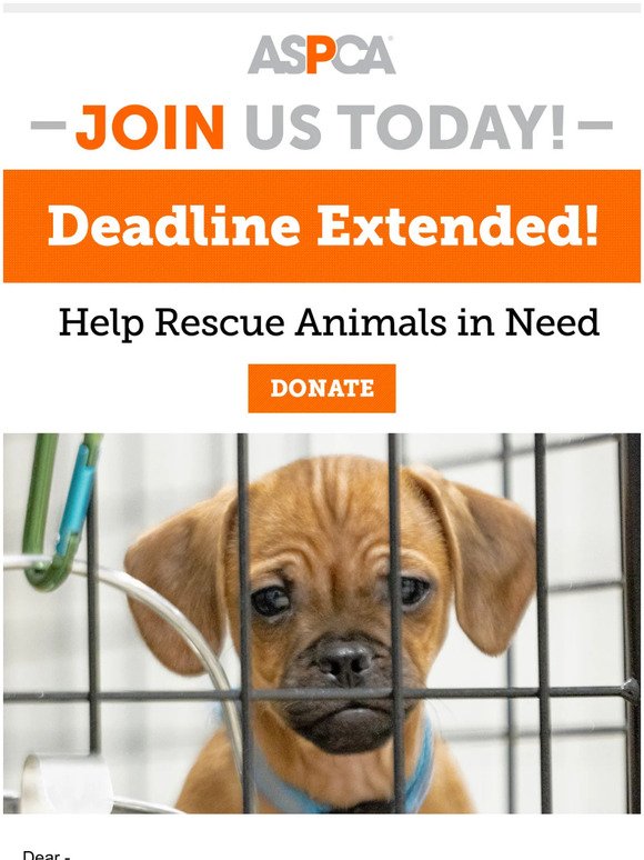 Deadline extended! We still need you, —