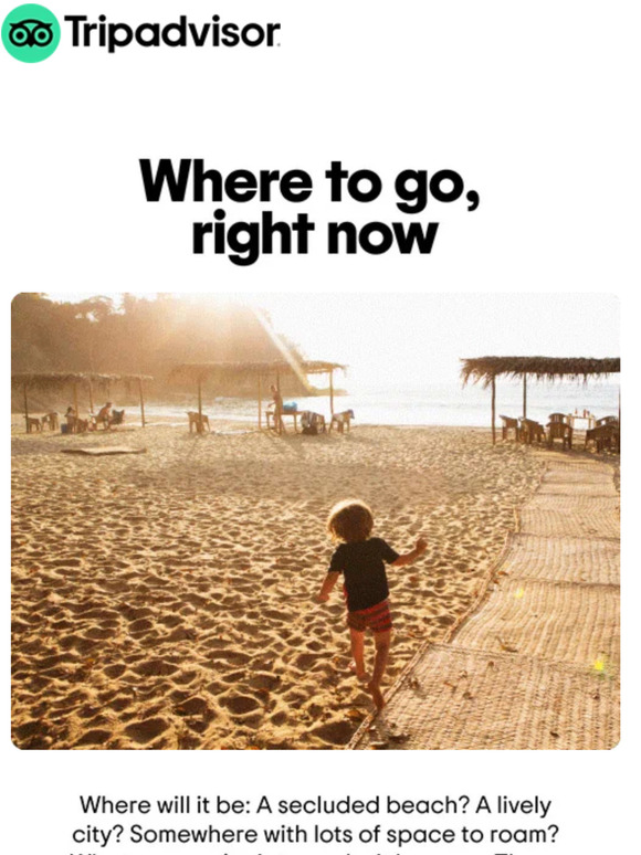 TripAdvisor The best places to go right now Milled