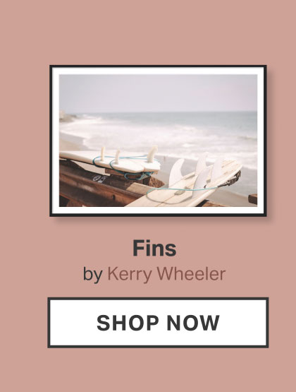 Fins