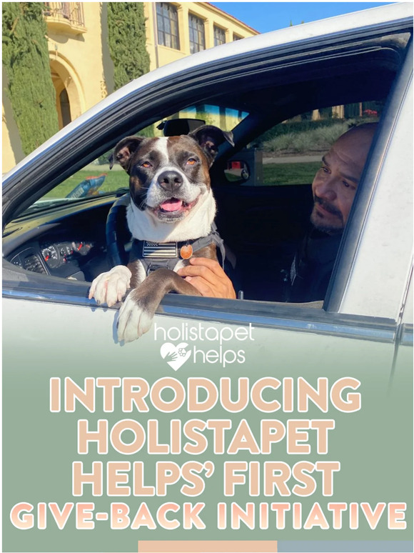 See How HolistaPet Helps A Homeless Pet