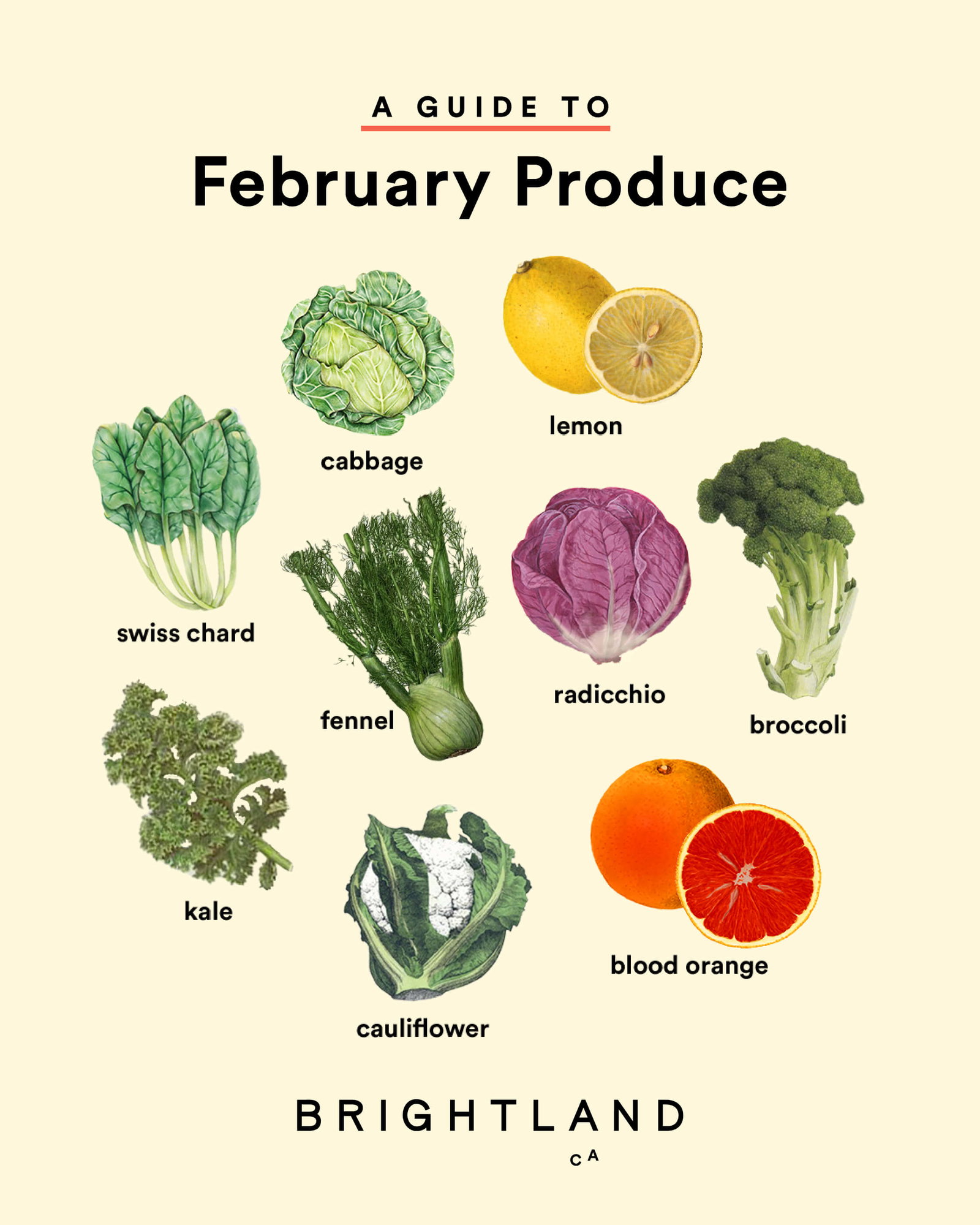 A guide to February Produce