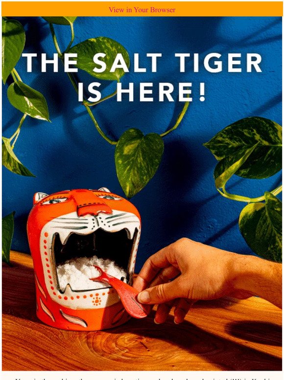 THE Salt Tiger 🐯
