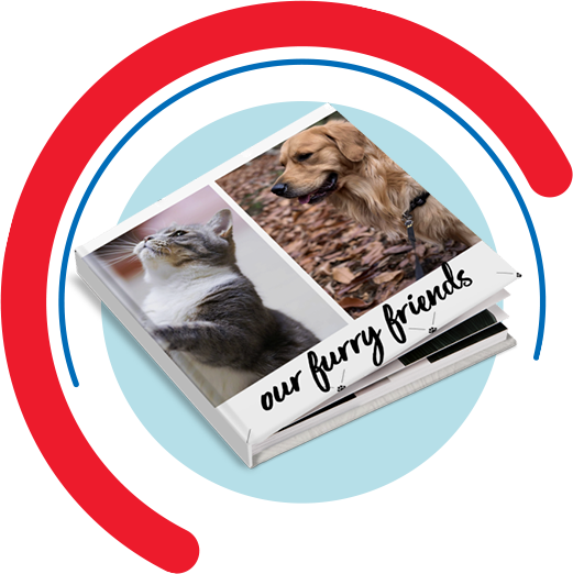 Welcome Home Cat Book by PetSmart - All Photo Books
