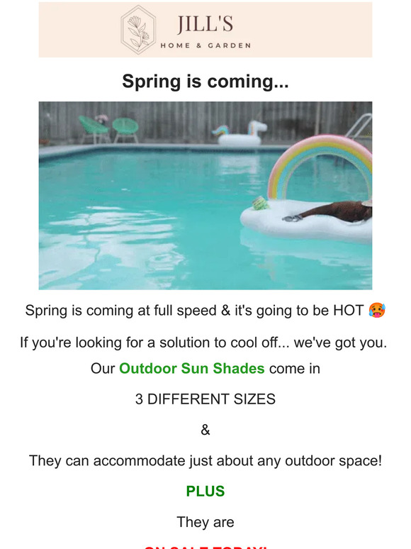 Spring Is Coming... 🌷