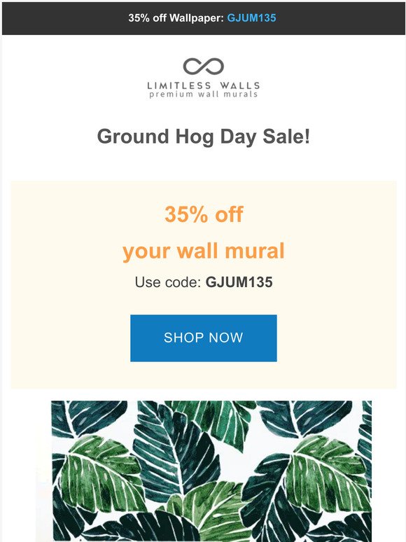 😱Phil Saw His Shadow! That Means There's A Sale At Limitless Walls!