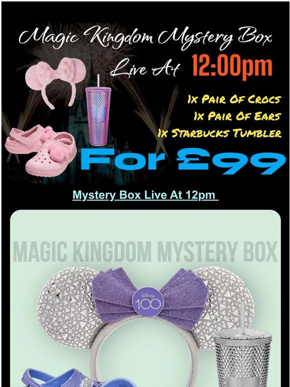 ❓Magic Kingdom Mystery Box £99