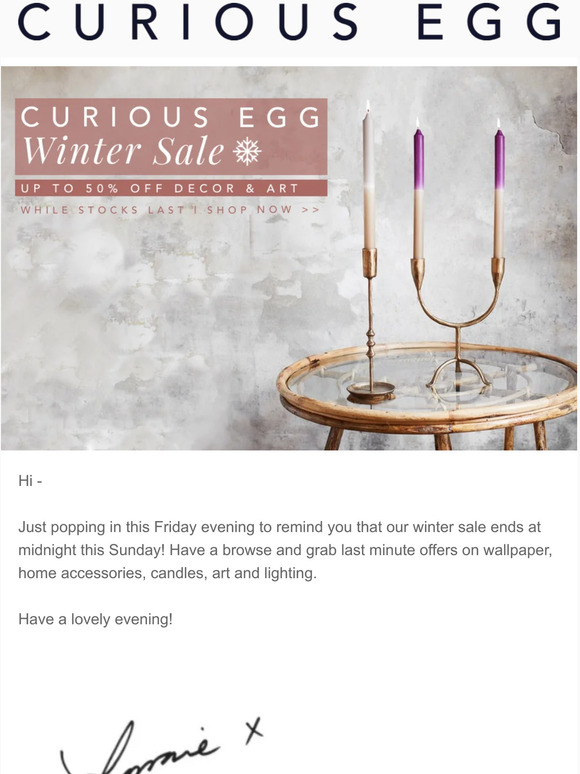 The Curious Egg Winter Sale Ends This Sunday! ✨