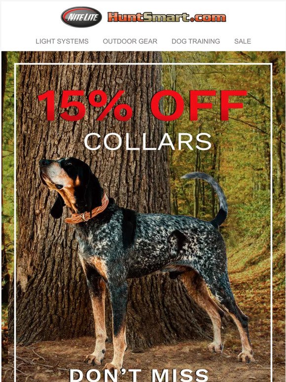 15% off Leather Collars