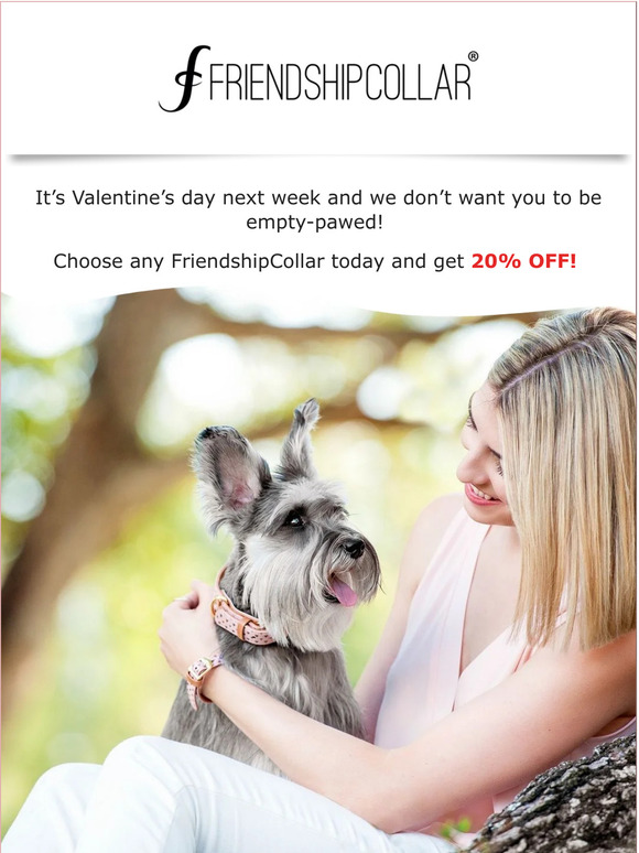 Will YOU be our Valentine? 💖🐶