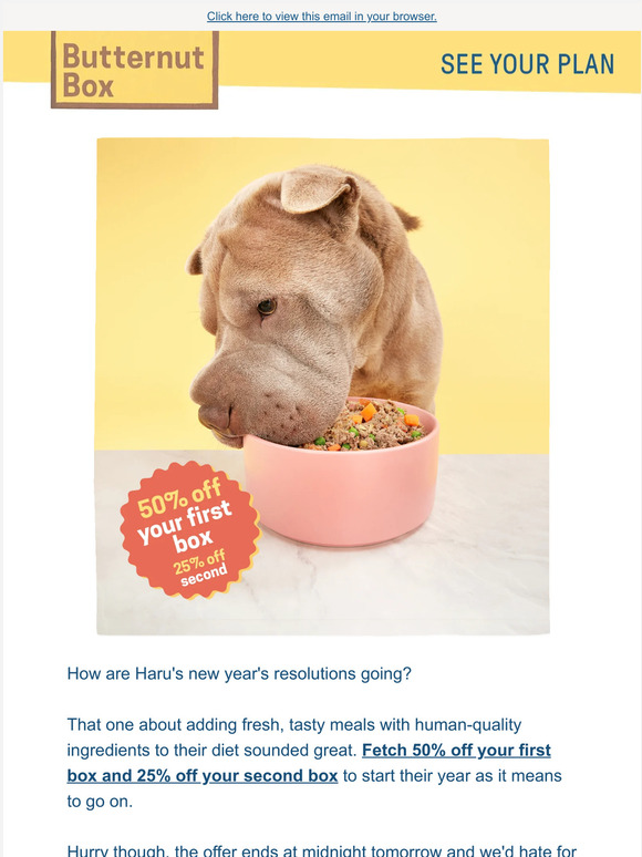 Haru's offer is expiring soon