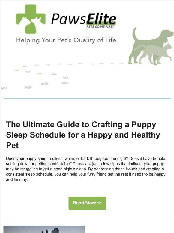Uncover the Secrets to a Sound Sleeping Puppy