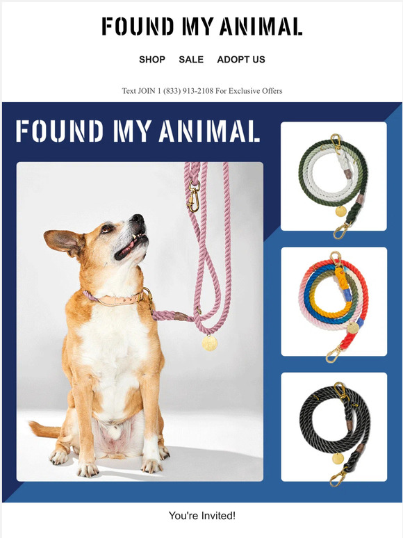 Found My Animal: FOUND MY ANIMAL X NEIGHBORHOOD | #adoptdontshop 