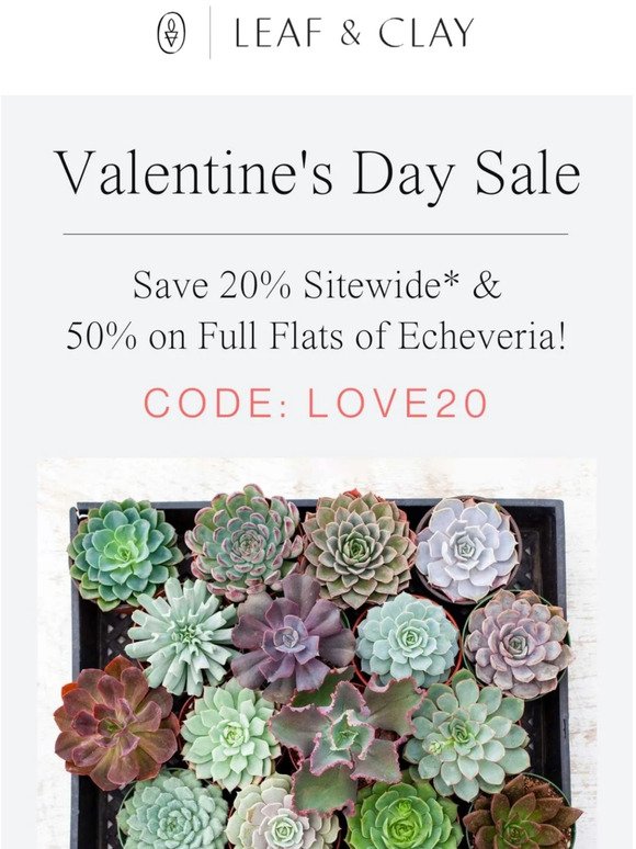 💕 Valentines Day Sale 💕