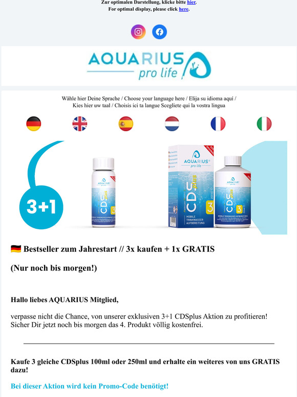 3+1 CDSplus 💙 | Spare noch bis morgen | Save until tomorrow