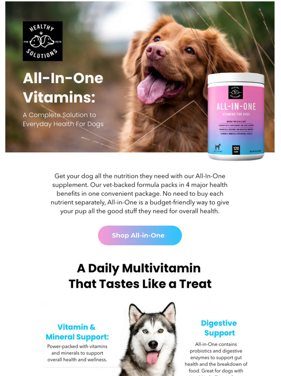A multivitamin for dogs?