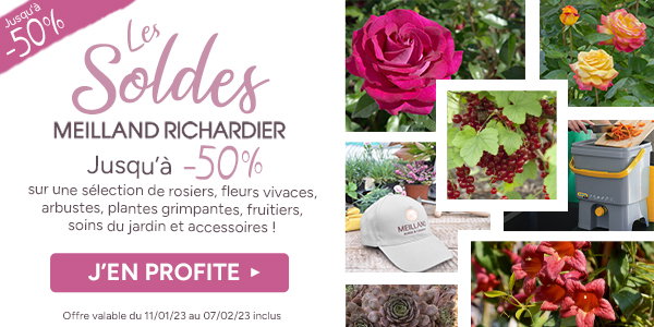 Code Promo Meilland Richardier