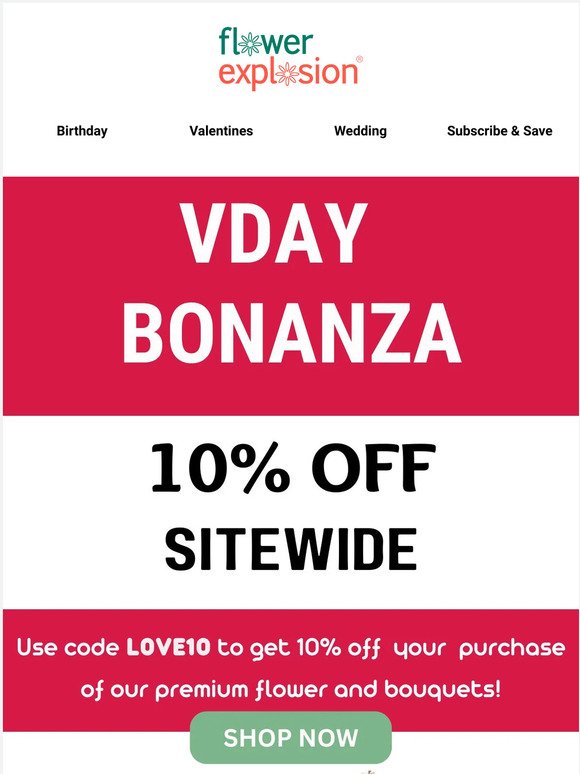 Vday Bonanza: 10% Off Site wide❤️