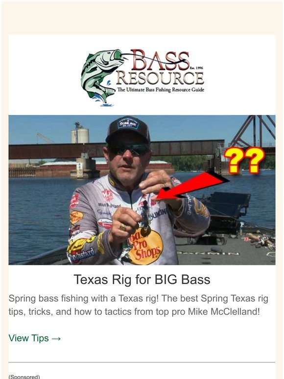 BassResource: Bank Fishing Tips, New Neko Rig Tricks