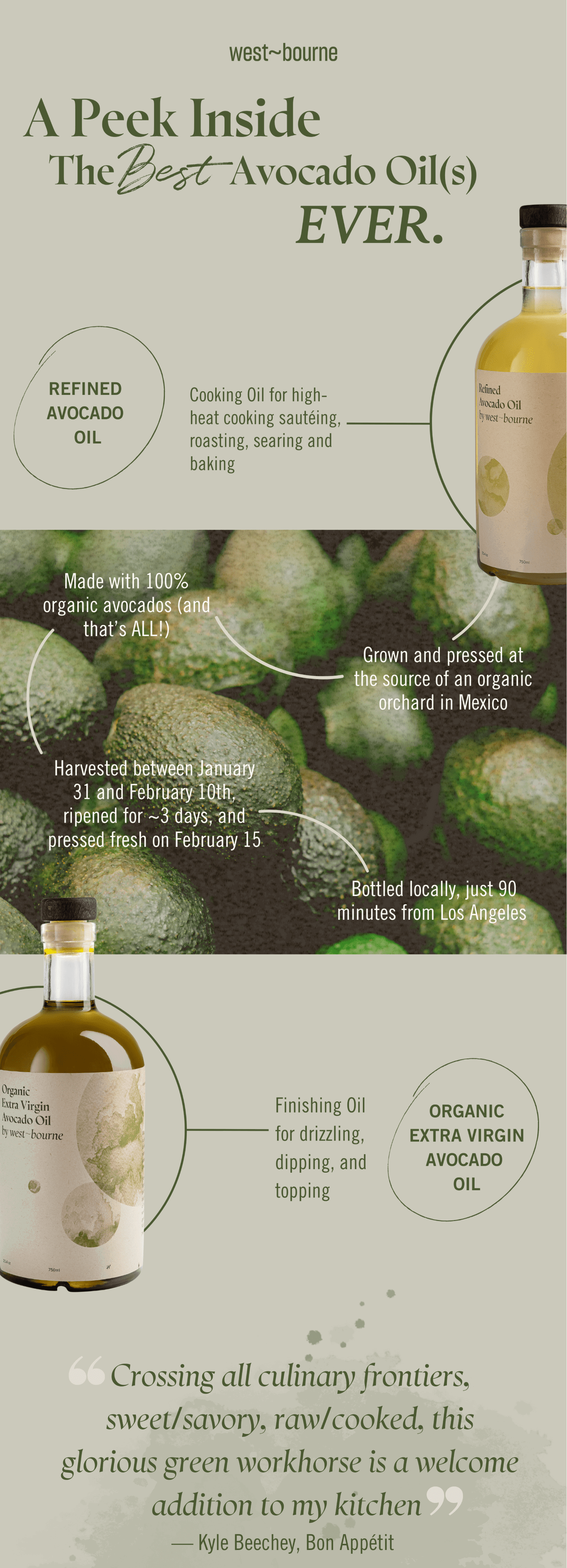 shop avocado oil