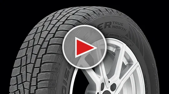 Watch Video: Vredestein Pinza HT