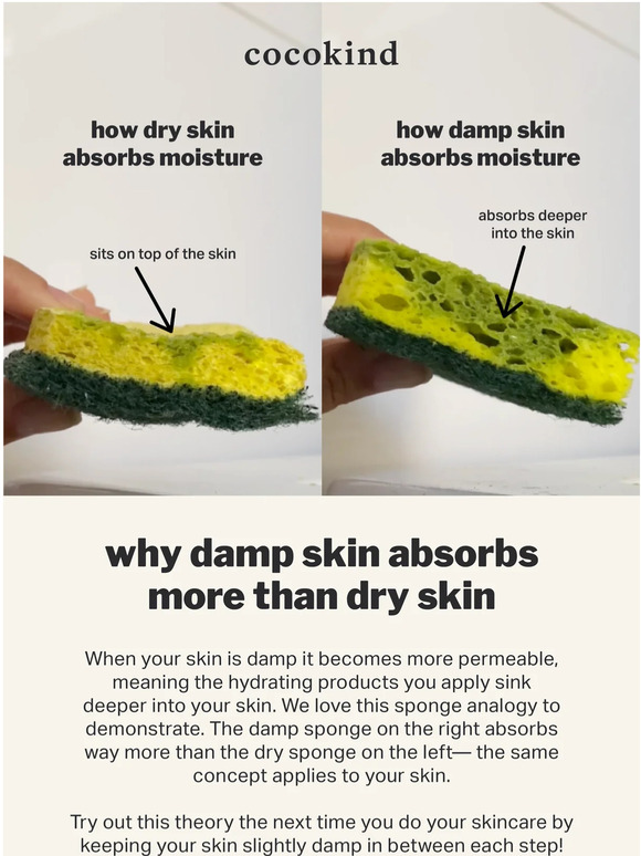 DRY VS DAMP visual data 2