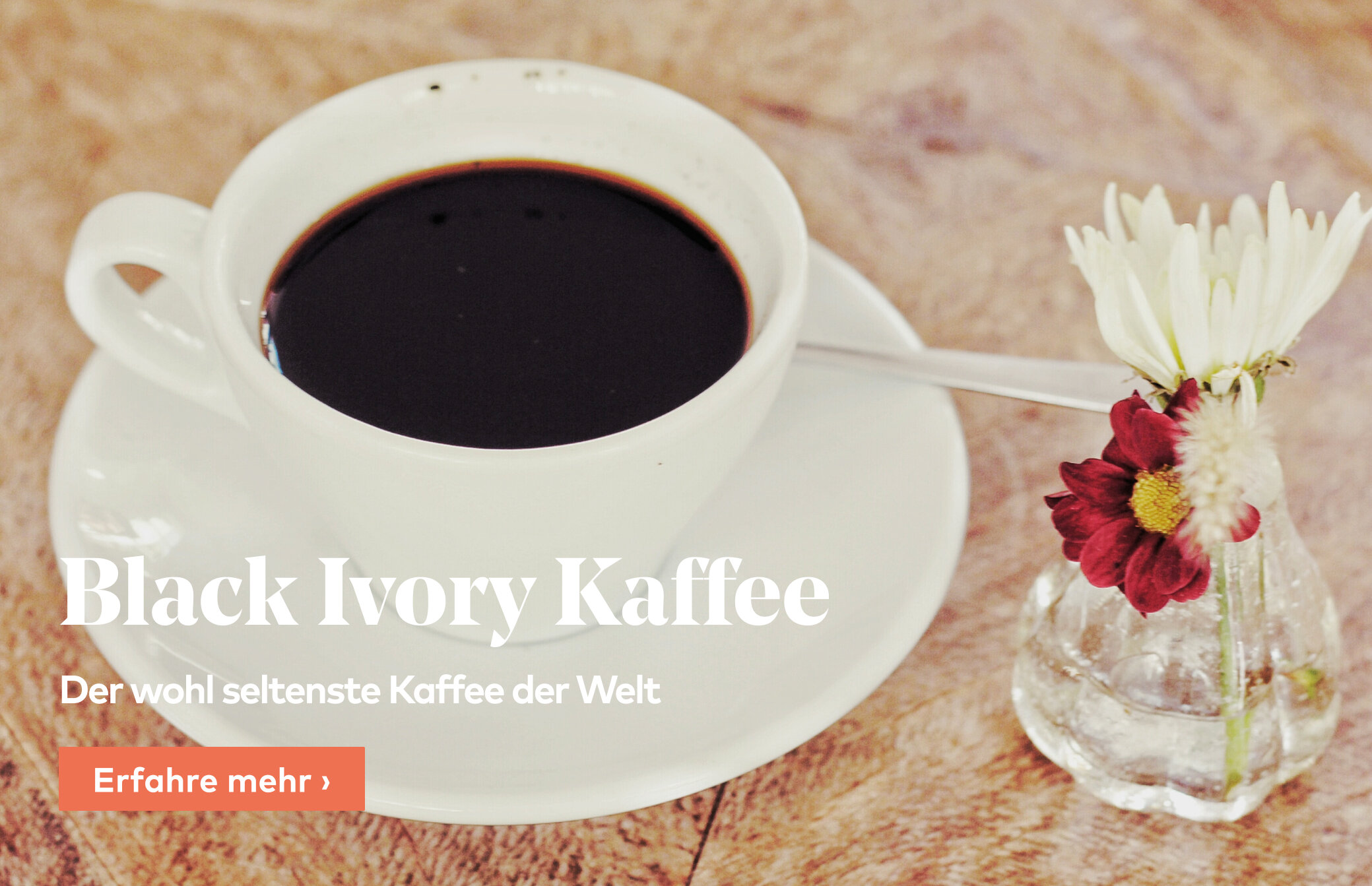 Coffee Circle: Black Ivory – der wohl seltenste Kaffee der Welt | Milled