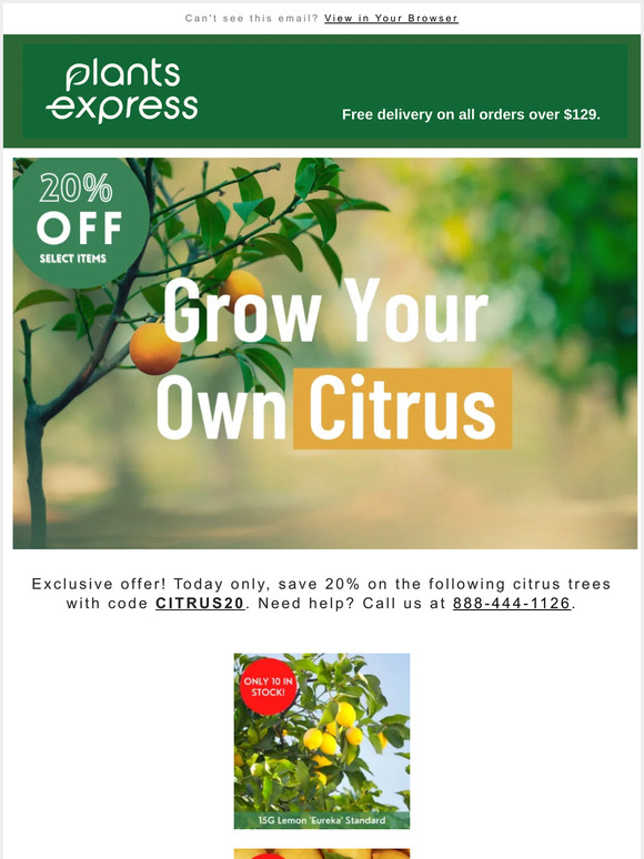 🍋 20% Off Select Citrus