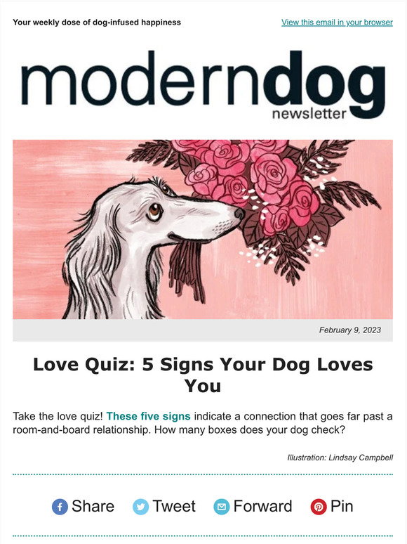 modern-dog-modern-cat-5-signs-your-dog-loves-you-milled