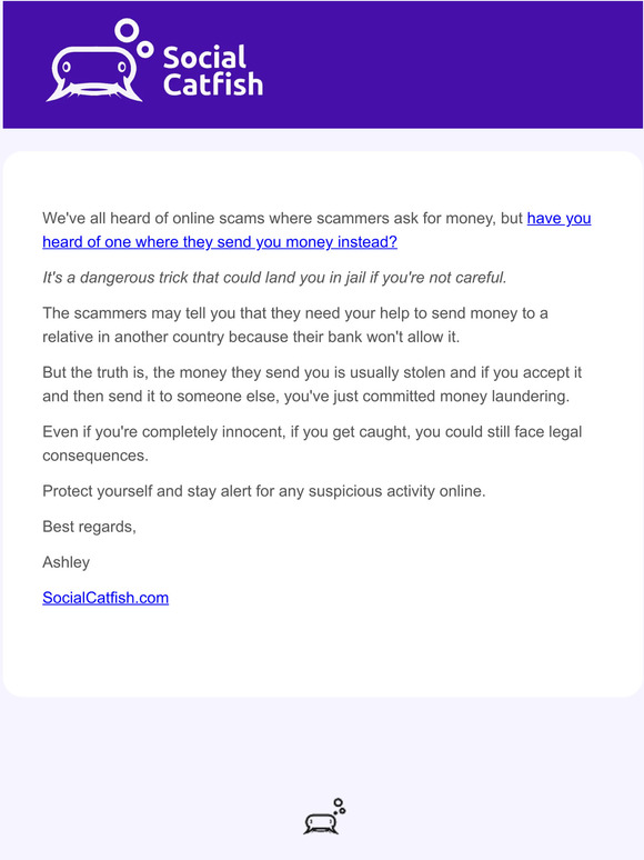 Social Catfish Beware of the Online Money Laundering Scam! Milled