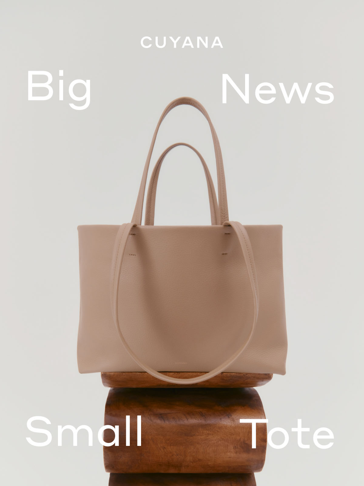 Cuyana Launched a Small Version of Its Leather Easy Tote