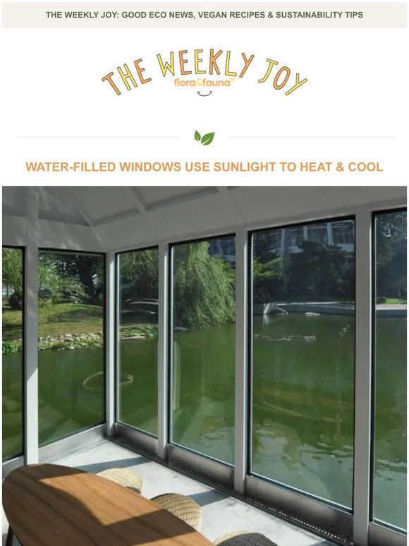 Water-Filled Windows Use Sunlight To Heat & Cool! 🌞❄