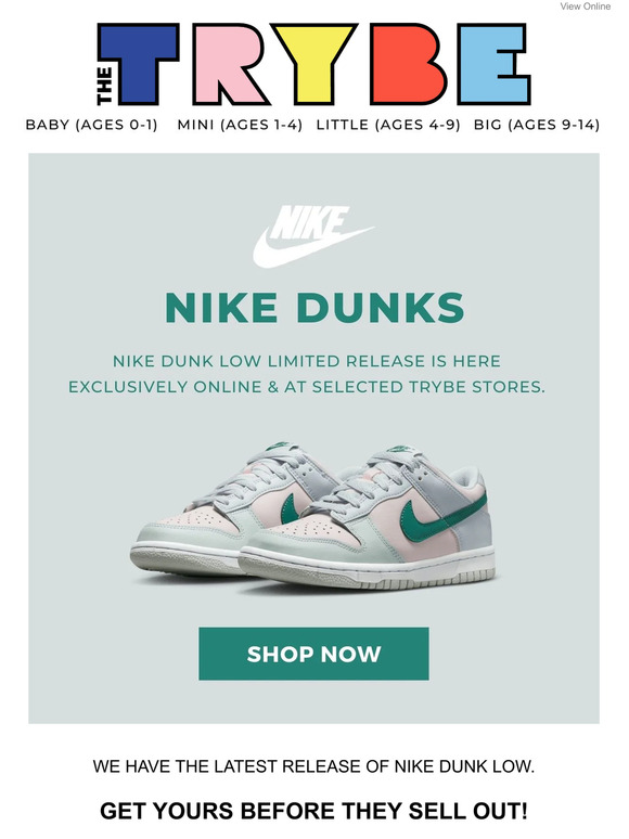 Just Landed! Nike Dunks 💙