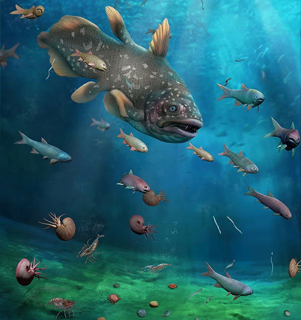 An image of a shallow ocean. Rays of sunlight filtering through the surface illuminate a large toothed fish that looks similar to a coelacanth, as well as several smaller fish, nautilus-like ammonoids and small eel-like creatures. Lobster- and crab-like animals walk around the sandy sea floor among bivalves that resemble clams and scallops.