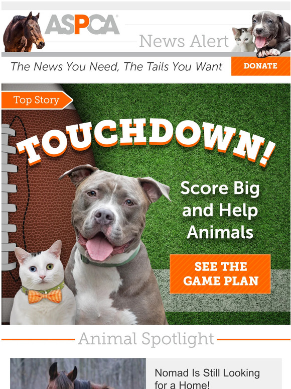 One Simple Way to Help Animals
