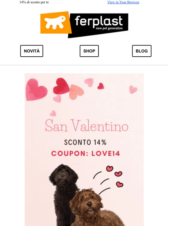 San Valentino - Un regalo speciale 💝