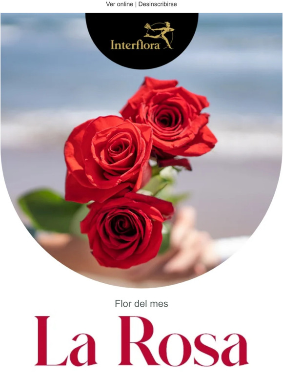 Celebra el amor con -20% de descuento