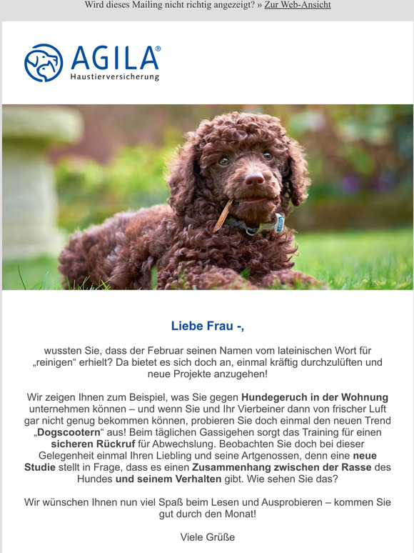 ✔ Hundegeruch vermeiden und vorbeugen