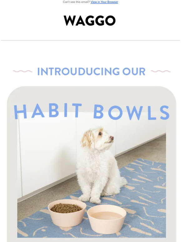 The Real Puppy BOWL starts now...