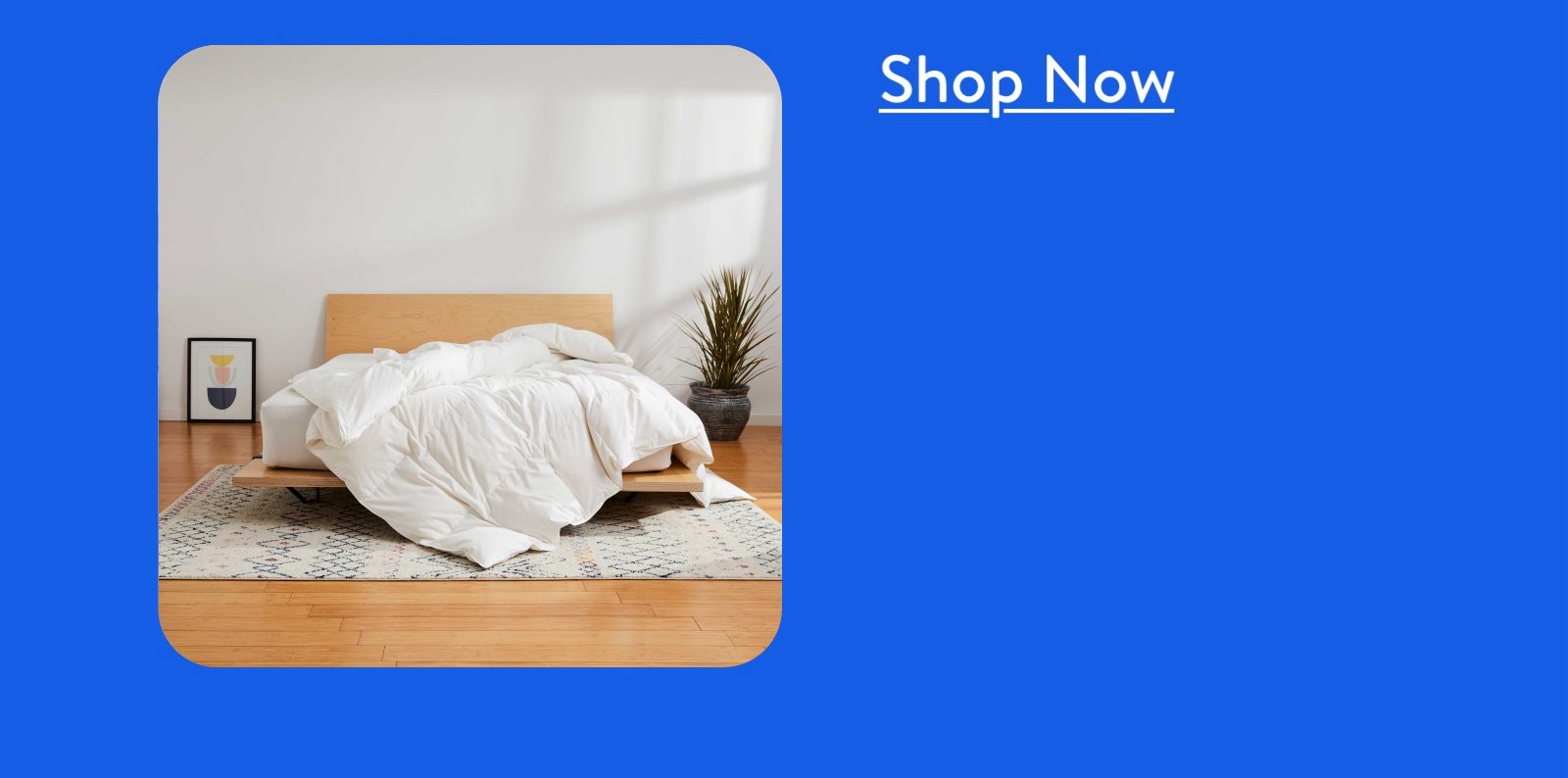 Shop now