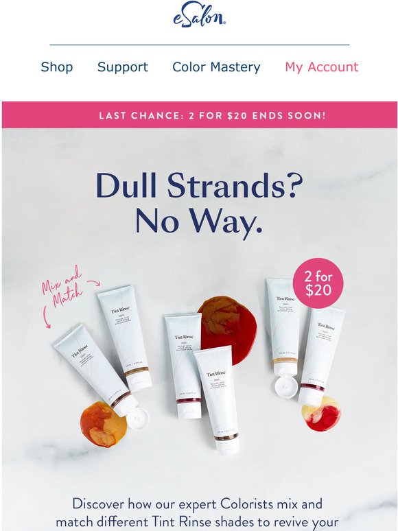 Last Chance: 2 for $20 Tint Rinse