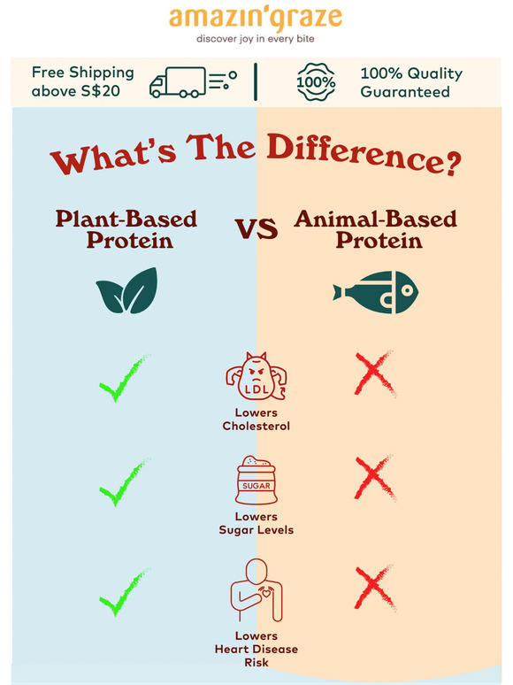 Plant-based protein can lower cholesterol?
