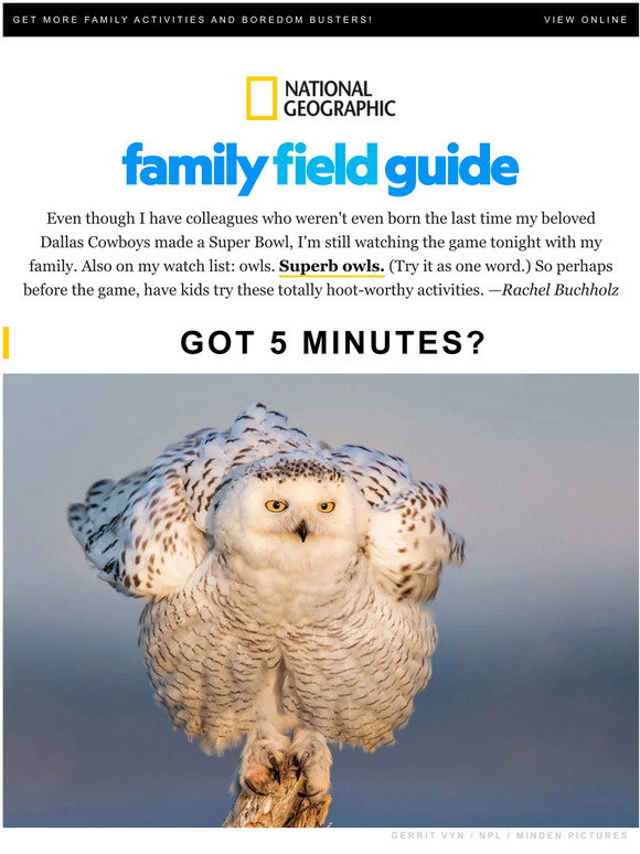 National Geographic: Celebrate both the Super Bowl 🏈 and Superb Owls 🦉 ...